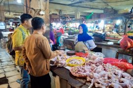 Pemerintah pastikan harga ayam stabil jelang Ramadhan