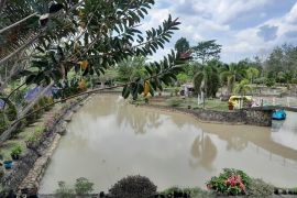Taman wisata Rivera Park Tebo Jambi terancam rusak akibat PETI