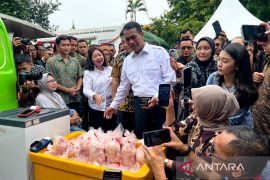 Bapanas jaga pangan stabil jelang Ramadhan lewat GPM di 514 kab/kota