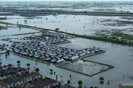 Pemkab Bekasi usahakan 217 ton benih untuk petani terdampak banjir