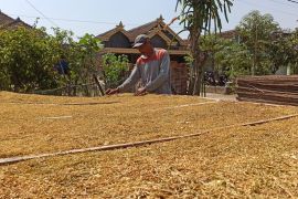 Ponorogo rancang ulang program imbas penurunan DBHCHT 2026