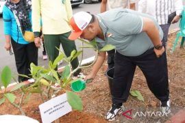 Pemkot Bengkulu tanam seribu pohon Kamboja melalui Program Gempita