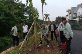 Sudin Tamhut Jakbar tanam pohon dan tanaman hias di Kalideres
