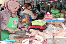 Marak lapak di pinggir jalan, omzet pedagang ayam di PIM Sampit anjlok