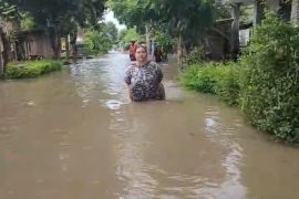 BPBD Jember: Satu korban meninggal tersengat listrik saat banjir