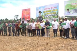Pemprov Papua canangkan lumbung pangan di Distrik Muara Tami