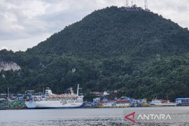 Pelni ingatkan calon pemudik di Papua beli tiket secara daring