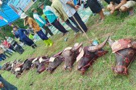 Pemerintah Merangin melakukan bantaian adat Desa Bukit Batu