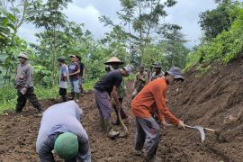 Warga Situbondo dan TNI gotong royong buka akses ke  perkebunan