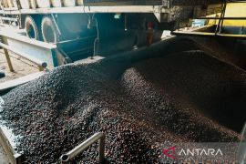 Produksi PKO PTPN IV PalmCo di Kampar Tembus 115.000 Ton Sepanjang 2025