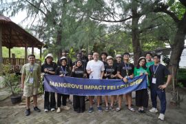 Mangrove Impact Fellowship 2026: Membangun kolaborasi global untuk konservasi mangrove