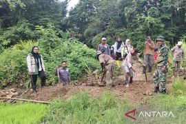 Petani HSS-pemerintah bersinergi bersihkan saluran Irigasi di Desa Bakarung