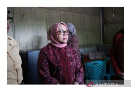 Penanganan kasus kekerasan seksual harus berperspektif korban