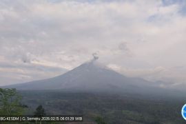 Aktivitas vulkanik Gunung Semeru masih tinggi