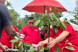 PDIP: Imlek momentum perkuat spirit gotong royong kebangsaan