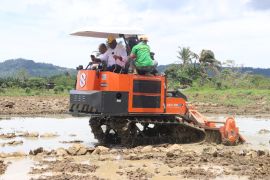 Pemkot Jayapura pastikan kesiapan lahan padi seluas 100 ha
