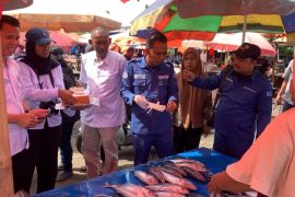 Badan Mutu KKP uji ciguatoxin guna waspadai keracunan ikan di Bengkulu