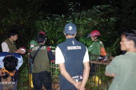 BKSDA Sumbar pasang kandang jebak beruang di Sinuruik Talamau