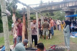 Harga daging meugang tembus Rp200 ribu per kilogram di Abdya
