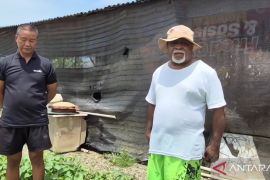 DLH Papua Barat Daya bangun rumah maggot atasi sampah