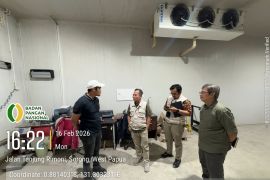 Satgas Pangan pastikan stok daging sapi di Kota Sorong aman