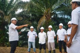 Strategi inklusif PTPN IV Palmco kelola keberagaman 55 suku bangsa untuk dongkrak produktivitas
