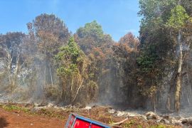Polres Bengkalis tetapkan tersangka perambahan dan kebakaran hutan