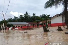Tanggul jebol, Desa Bandar Tarutung Tapsel kembali terendam banjir