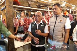 Bapanas: Cuaca dan tenaga petik jadi penyebab harga cabai rawit naik