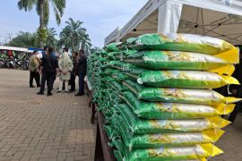 Realisasi distribusi SPHP Lampung capai 20.047 ton hingga awal Februari 2026