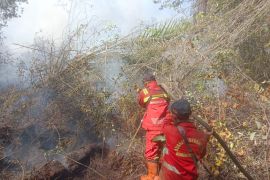 Kemenhut kerahkan 240 personel Manggala Agni pastikan upaya padamkan karhutla di Riau