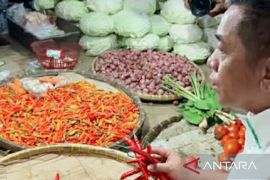 Harga kebutuhan pokok di Karawang relatif stabil masuki Ramadhan