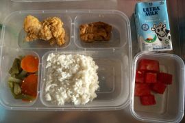 Anggota DPR: MBG investasi jangka panjang tingkatkan kualitas SDM