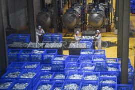 Ekspor produk makanan hewan peliharaan ke Filipina