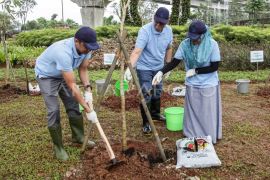 Penanaman pohon di Tol Jakarta Cikampek