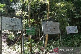 DPMK Berau ajak desa lestarikan hutan untuk gait dana karbon