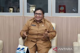 Kemendagri tekankan sinkronisasi rencana pembangunan Papua dan nasional