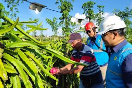 PLN Jatim catat kinerja penjualan listrik tembus 46,3 TWh pada 2025