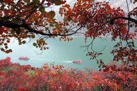 Larangan tangkap ikan di Sungai Yangtze picu pemulihan awal ekologi