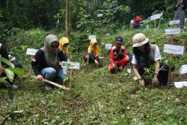 Telkom dukung kapasitas dan pendanaan hijau melalui program BBF