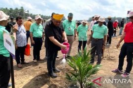 Disbun Riau targetkan 11.600 ha kebun kelapa sawit rakyat ikut PSR didanai BPDPKS