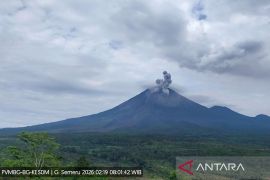Gunung Semeru kembali erupsi dengan tinggi letusan 800 meter