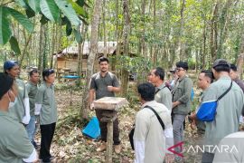 DLHK Kalbar latih KUPS enam kabupaten kembangkan potensi hutan