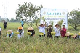 Gubernur: Babel Menuju Kedaulatan Pangan Berkelanjutan