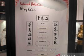 Ip Man Wing Chun Exhibition Jakarta sajikan warisan legendaris