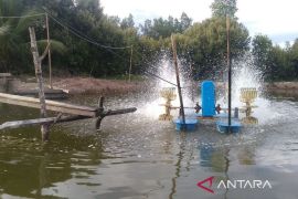 BMKG peringatkan petambak Kaltim soal pasang laut 21-22 Februari