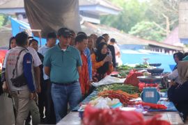 Sekda Lampung Barat pantau pasokan bahan pangan selama Ramadhan