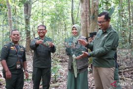 Karantina Jambi gagalkan pengiriman burung tanpa dokumen resmi