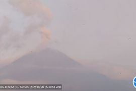 Gunung Semeru tujuh kali erupsi dengan tinggi letusan hingga 1 Km