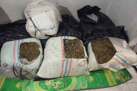 Polda Aceh gagalkan peredaran 50 kilogram ganja di Bireuen